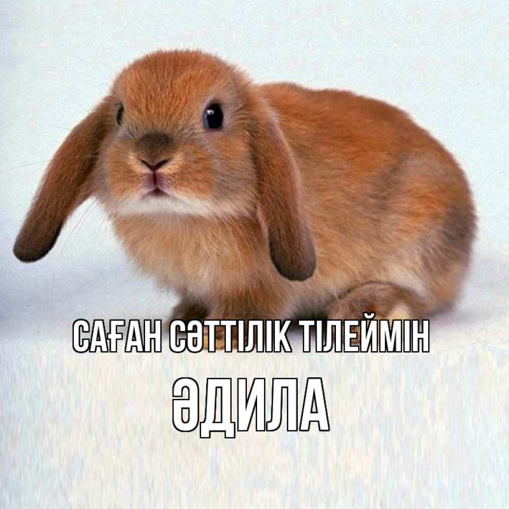Күн сайын ашық хат с именем, ӘДИЛА Саған сәттілік тілеймін вставить текст в открытку по выбору Онлайн тегін жүктеп алу тілектері бар керемет карта 