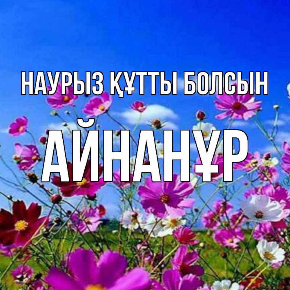 Күн сайын ашық хат с именем, Айнанұр Наурыз құтты болсын цветы Онлайн тегін жүктеп алу тілектері бар керемет карта 