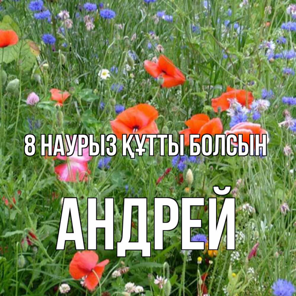 Күн сайын ашық хат с именем, Андрей 8 наурыз құтты болсын международный женский день 4 Онлайн тегін жүктеп алу тілектері бар керемет карта 