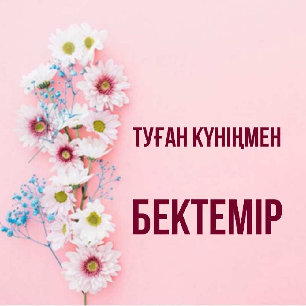 Күн сайын ашық хат с именем, Бектемір Туған күніңмен Родная моя с днем рождения тебя картинка с цветами белыми и голубыми Онлайн тегін жүктеп алу тілектері бар керемет карта 