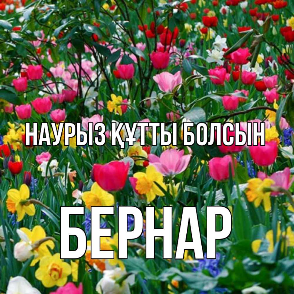 Күн сайын ашық хат с именем, Бернар Наурыз құтты болсын с наурызом поздравления для женщины Онлайн тегін жүктеп алу тілектері бар керемет карта 