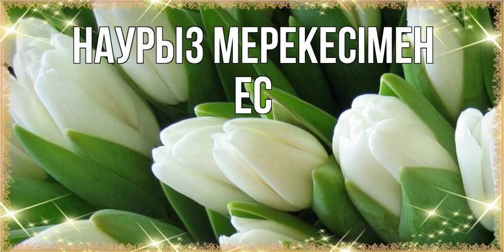 Күн сайын ашық хат с именем, Ес Наурыз мерекесімен поздравляем с праздник весны наурыз Онлайн тегін жүктеп алу тілектері бар керемет карта 
