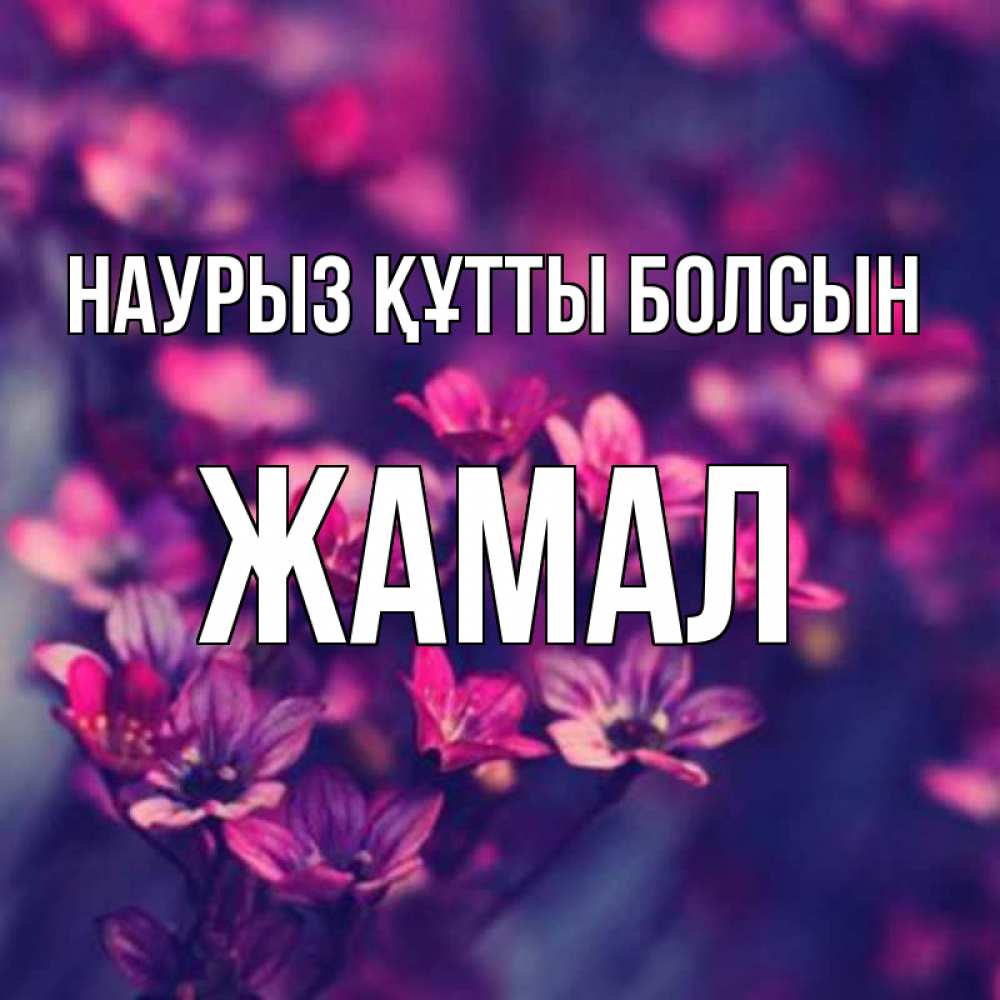 Күн сайын ашық хат с именем, ЖАМАЛ Наурыз құтты болсын небольшие цветы 1 Онлайн тегін жүктеп алу тілектері бар керемет карта 