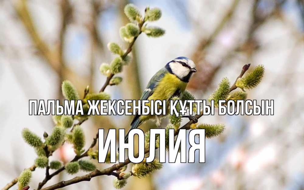 Күн сайын ашық хат с именем, Июлия Пальма жексенбісі құтты болсын верба Онлайн тегін жүктеп алу тілектері бар керемет карта 