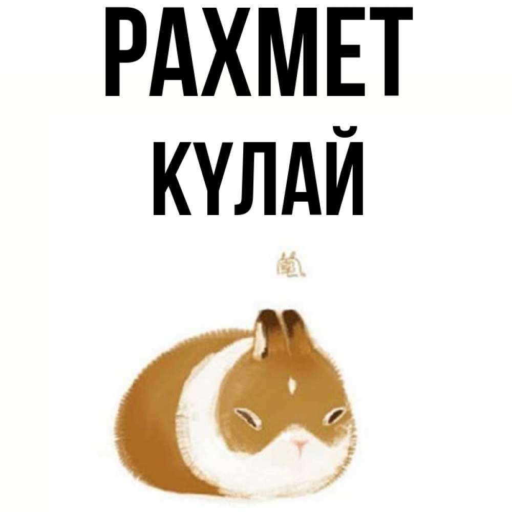 Күн сайын ашық хат с именем, КҮЛАЙ рахмет коричнево белый домашний питомец Онлайн тегін жүктеп алу тілектері бар керемет карта 