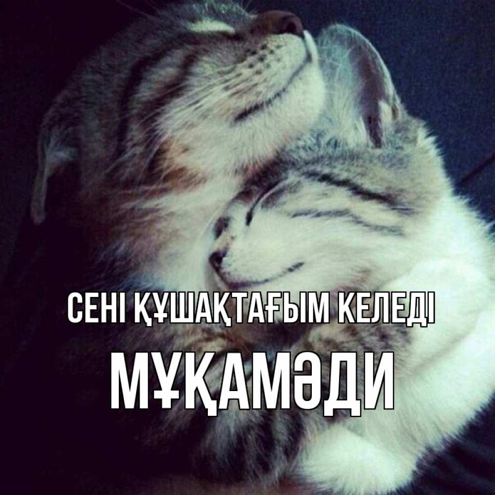 Күн сайын ашық хат с именем, МҰҚАМӘДИ сені құшақтағым келеді полосатики Онлайн тегін жүктеп алу тілектері бар керемет карта 