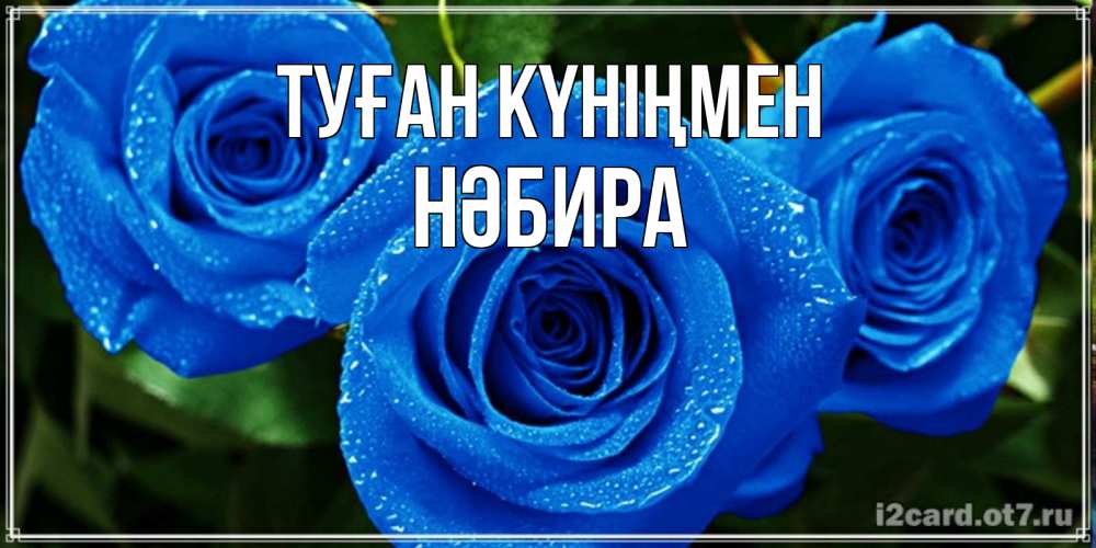 Күн сайын ашық хат с именем, НӘБИРА Туған күніңмен розы с синим цветом Онлайн тегін жүктеп алу тілектері бар керемет карта 