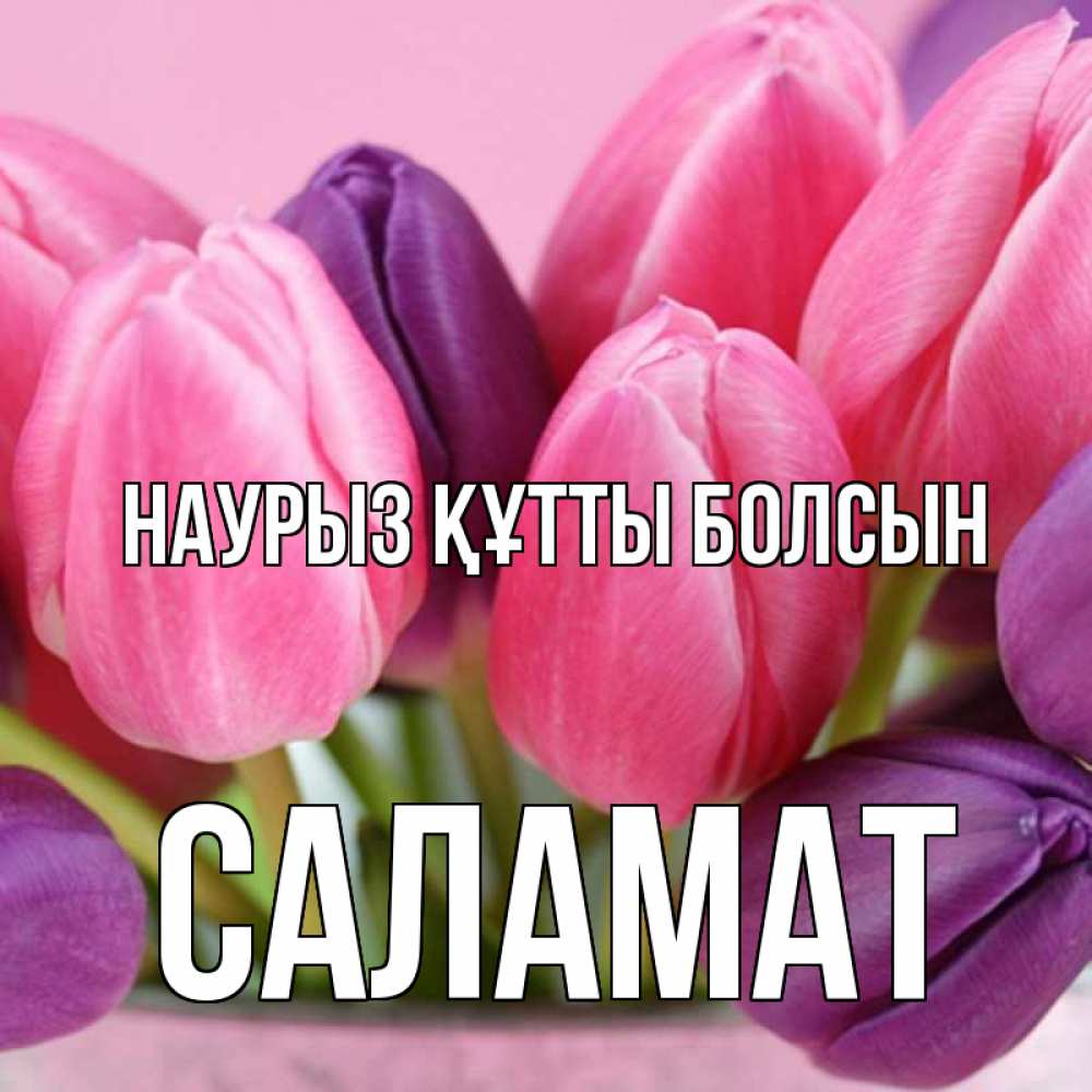 Күн сайын ашық хат с именем, САЛАМАТ Наурыз құтты болсын маме 1 Онлайн тегін жүктеп алу тілектері бар керемет карта 