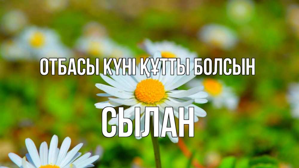 Күн сайын ашық хат с именем, СЫЛАН отбасы күні құтты болсын с днем семьи Онлайн тегін жүктеп алу тілектері бар керемет карта 