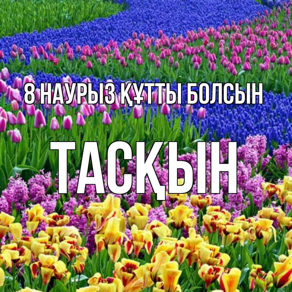 Күн сайын ашық хат с именем, ТАСҚЫН 8 наурыз құтты болсын цветы Онлайн тегін жүктеп алу тілектері бар керемет карта 