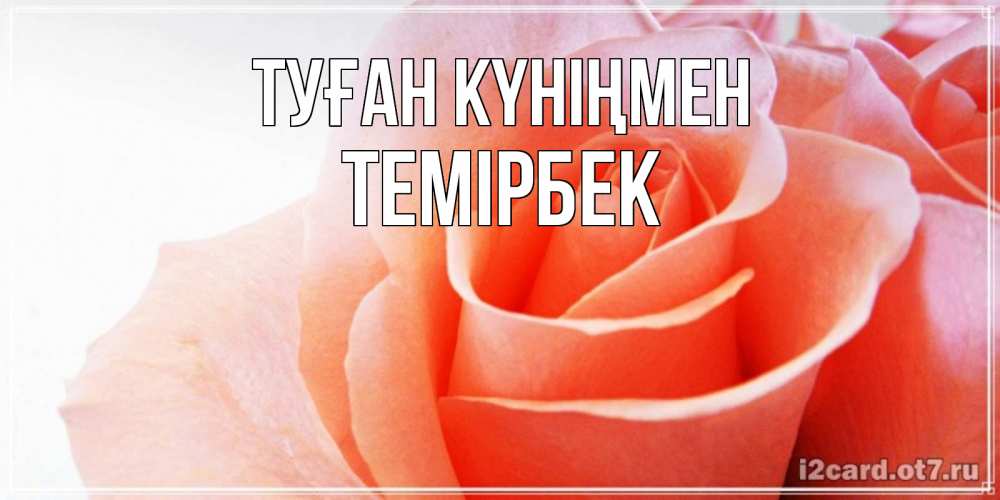 Күн сайын ашық хат с именем, ТЕМІРБЕК Туған күніңмен розы для поздравления с днем рождения Онлайн тегін жүктеп алу тілектері бар керемет карта 