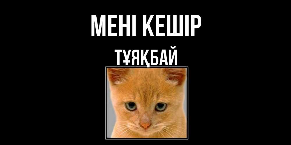 Күн сайын ашық хат с именем, ТҰЯҚБАЙ Мені кешір рыжий грустный кот просит прощения Онлайн тегін жүктеп алу тілектері бар керемет карта 