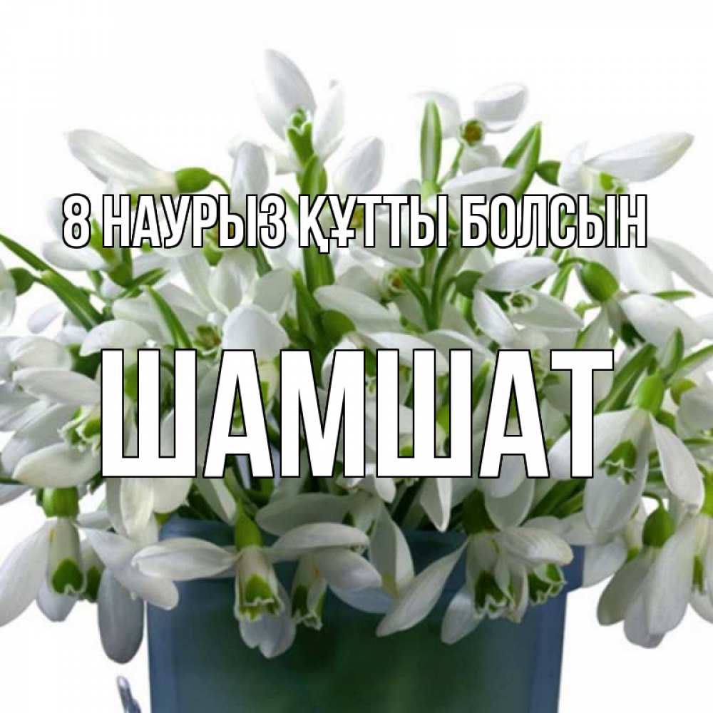 Күн сайын ашық хат с именем, ШАМШАТ 8 наурыз құтты болсын цветы к международному женскому дню Онлайн тегін жүктеп алу тілектері бар керемет карта 