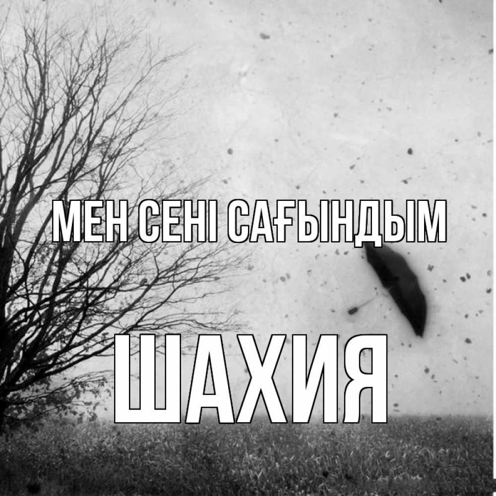 Күн сайын ашық хат с именем, ШАХИЯ Мен сені сағындым зонт летит Онлайн тегін жүктеп алу тілектері бар керемет карта 
