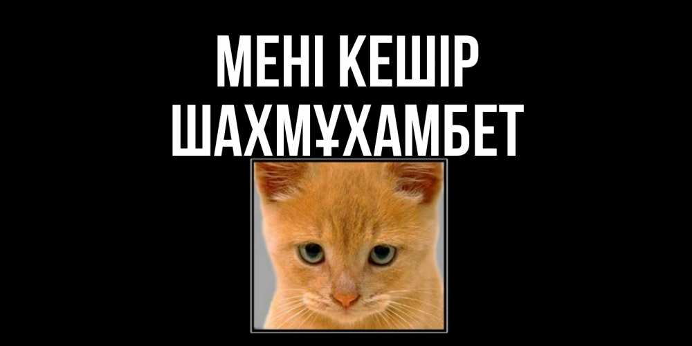 Күн сайын ашық хат с именем, ШАХМҰХАМБЕТ Мені кешір рыжий грустный кот просит прощения Онлайн тегін жүктеп алу тілектері бар керемет карта 