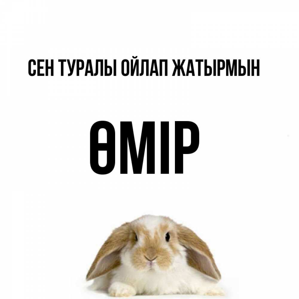 Күн сайын ашық хат с именем, ӨМІР Сен туралы ойлап жатырмын подписать своими руками онлайн Онлайн тегін жүктеп алу тілектері бар керемет карта 