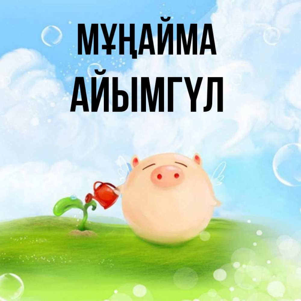 Күн сайын ашық хат с именем, АЙЫМГҮЛ Мұңайма поливает цветок порося Онлайн тегін жүктеп алу тілектері бар керемет карта 