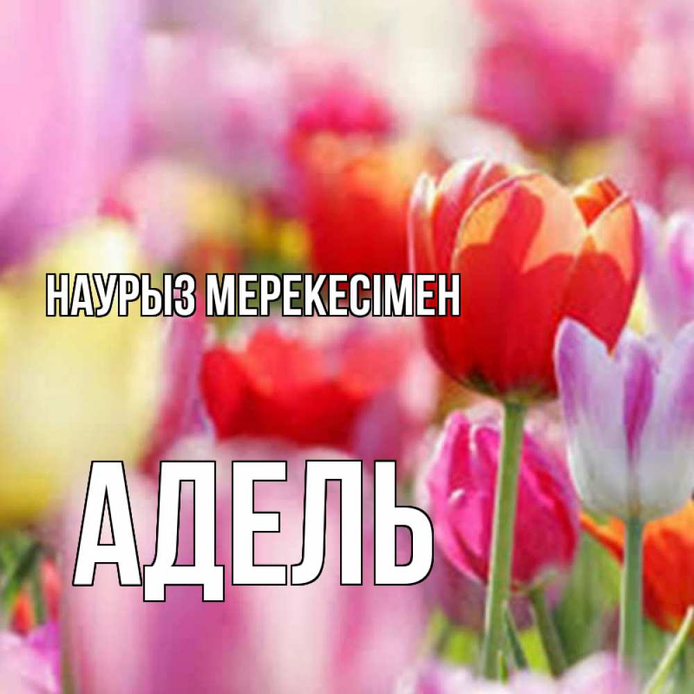 Күн сайын ашық хат с именем, Адель Наурыз мерекесімен праздник весны наурыз 67 Онлайн тегін жүктеп алу тілектері бар керемет карта 