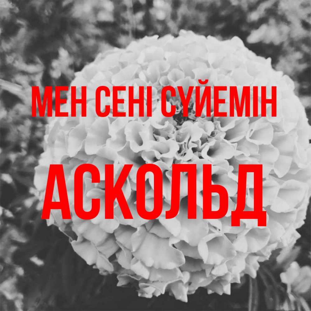 Күн сайын ашық хат с именем, Аскольд Мен сені сүйемін подпись Онлайн тегін жүктеп алу тілектері бар керемет карта 