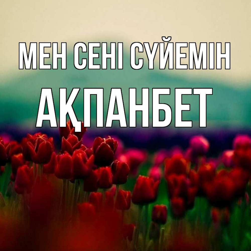 Күн сайын ашық хат с именем, Ақпанбет Мен сені сүйемін тюльпаны 4 Онлайн тегін жүктеп алу тілектері бар керемет карта 