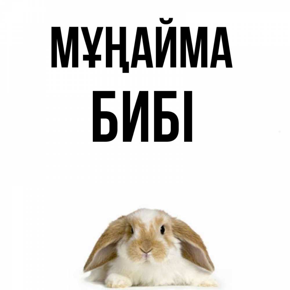 Күн сайын ашық хат с именем, БИБІ Мұңайма коричнево белый заяц с большими ушками Онлайн тегін жүктеп алу тілектері бар керемет карта 