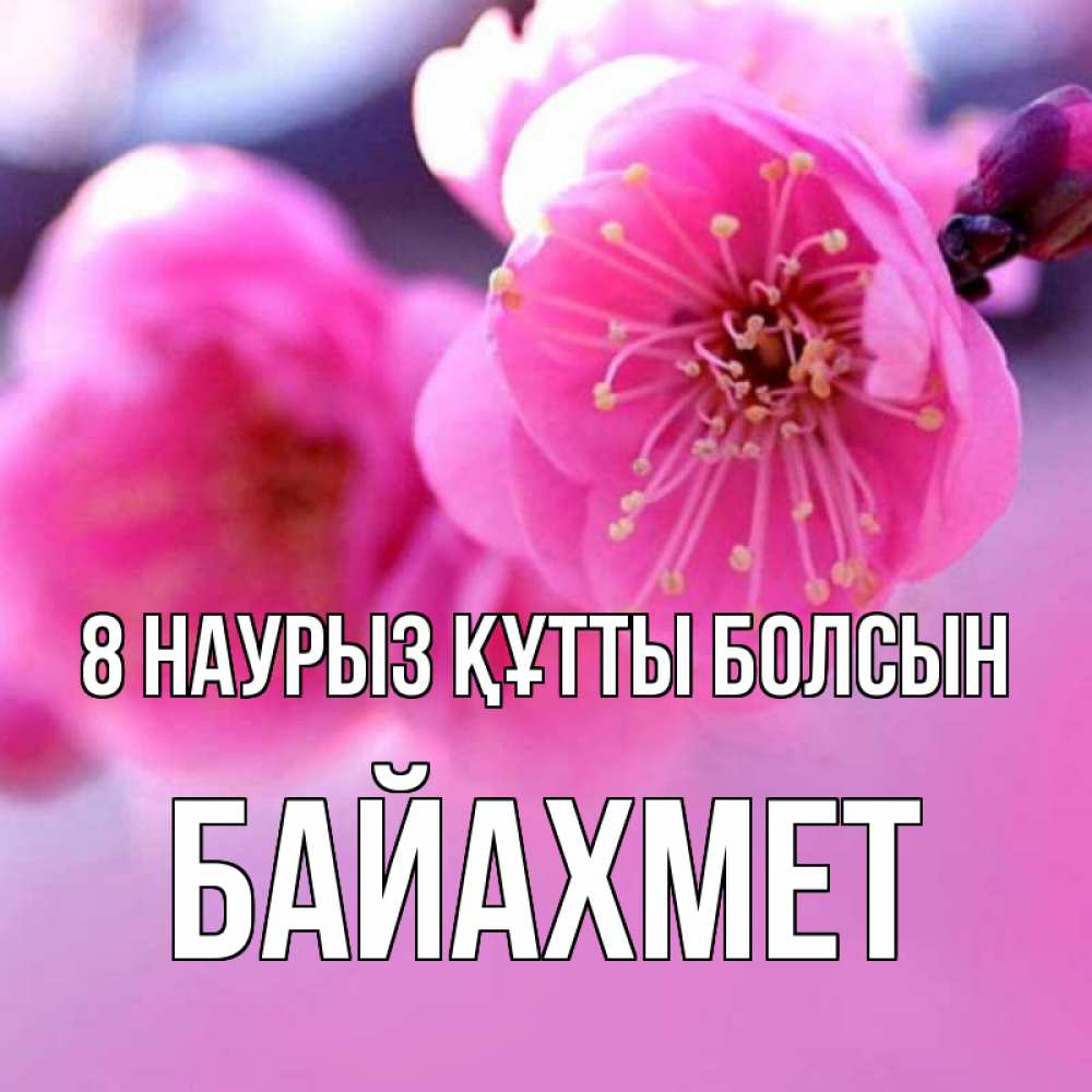 Күн сайын ашық хат с именем, Байахмет 8 наурыз құтты болсын международный женский день Онлайн тегін жүктеп алу тілектері бар керемет карта 