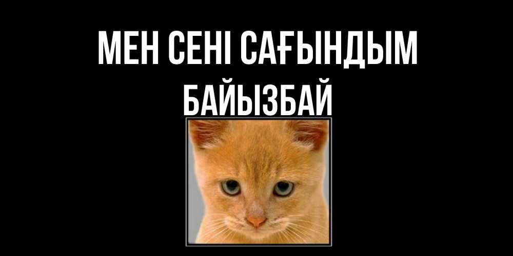 Күн сайын ашық хат с именем, Байызбай Мен сені сағындым открытки рыжий котенок скучает по тебе Онлайн тегін жүктеп алу тілектері бар керемет карта 