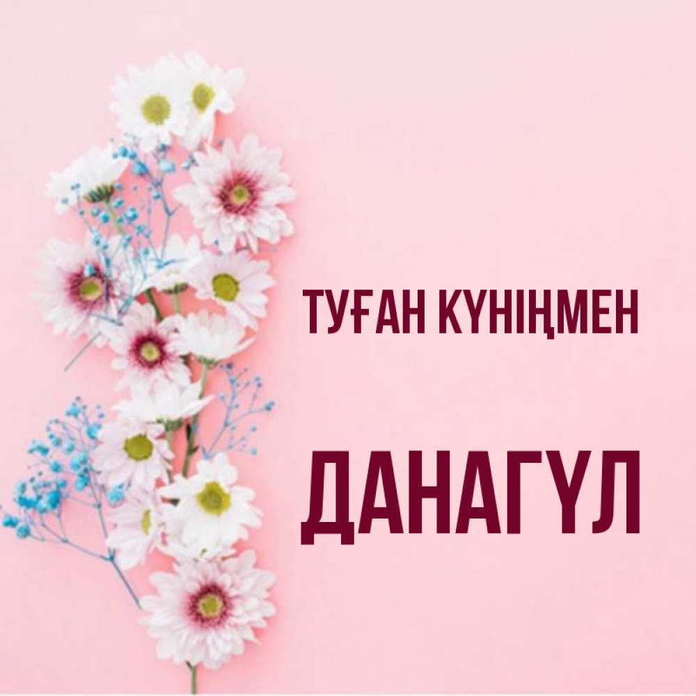 Күн сайын ашық хат с именем, ДАНАГҮЛ Туған күніңмен Родная моя с днем рождения тебя картинка с цветами белыми и голубыми Онлайн тегін жүктеп алу тілектері бар керемет карта 