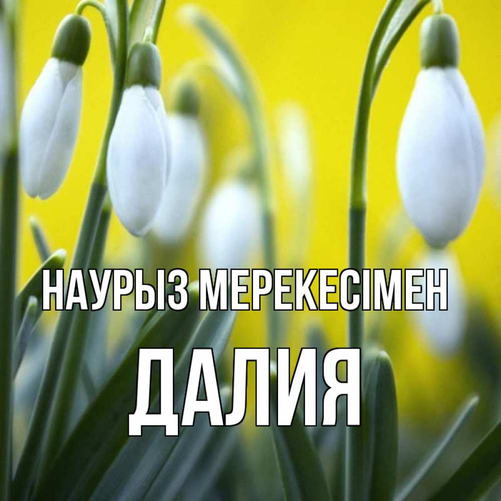 Күн сайын ашық хат с именем, Далия Наурыз мерекесімен весенние цветы Онлайн тегін жүктеп алу тілектері бар керемет карта 