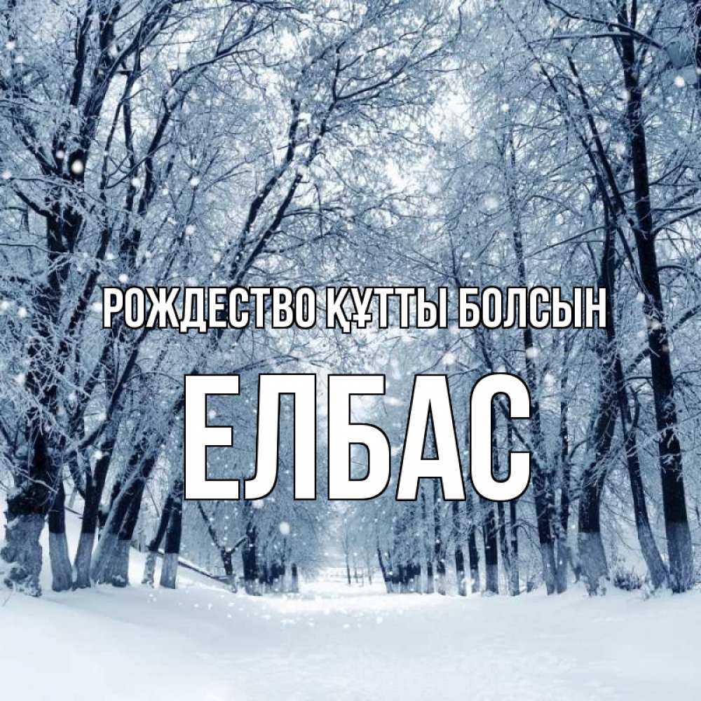 Күн сайын ашық хат с именем, Елбас Рождество құтты болсын снег, лес, парк Онлайн тегін жүктеп алу тілектері бар керемет карта 