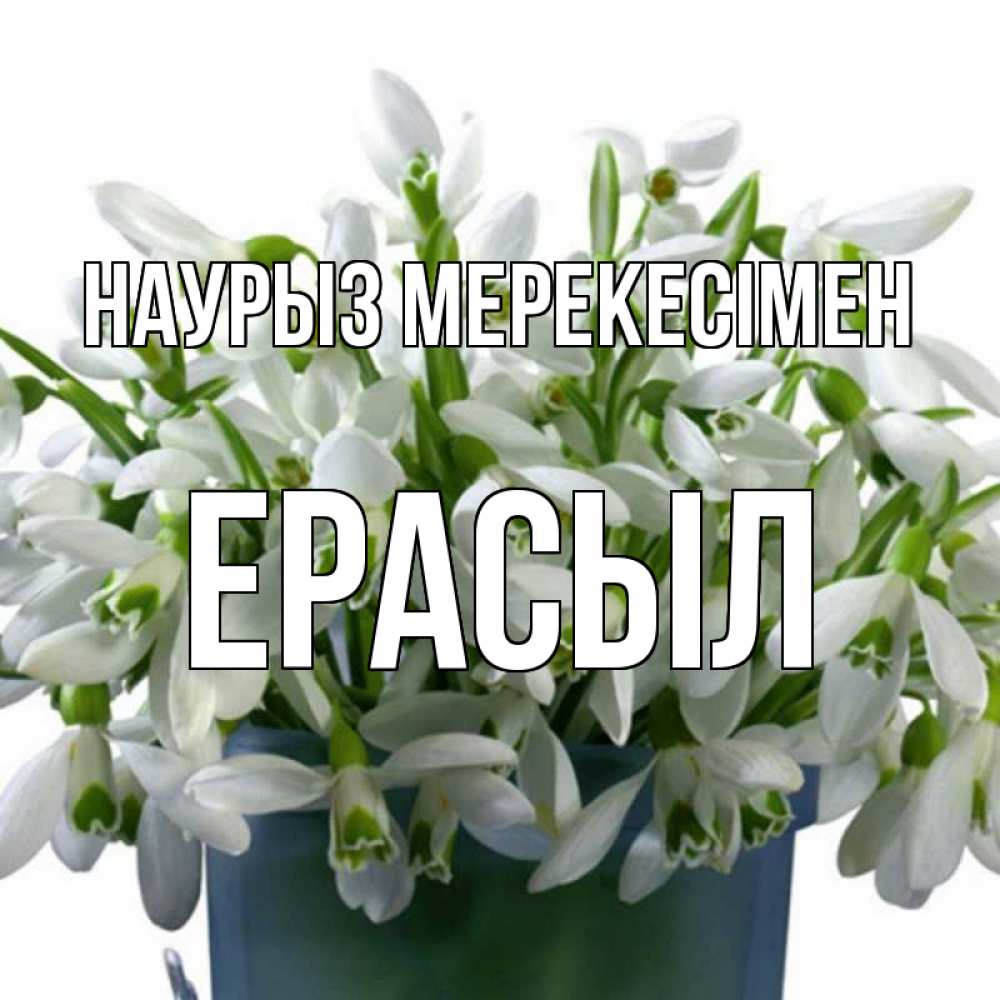 Күн сайын ашық хат с именем, Ерасыл Наурыз мерекесімен цветы к наурызу новый год в Казахстане Онлайн тегін жүктеп алу тілектері бар керемет карта 