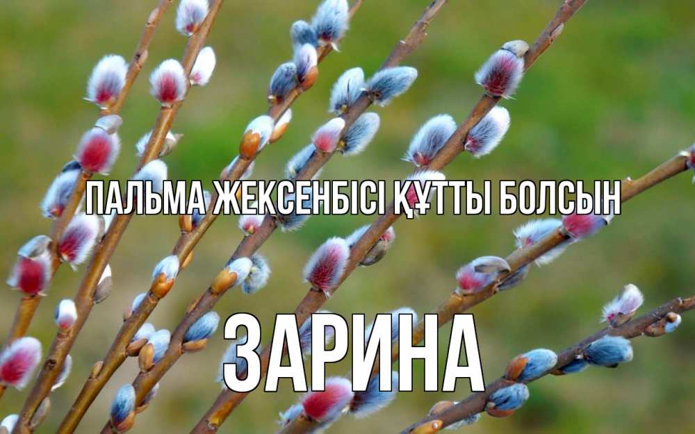 Күн сайын ашық хат с именем, ЗАРИНА Пальма жексенбісі құтты болсын верба Онлайн тегін жүктеп алу тілектері бар керемет карта 