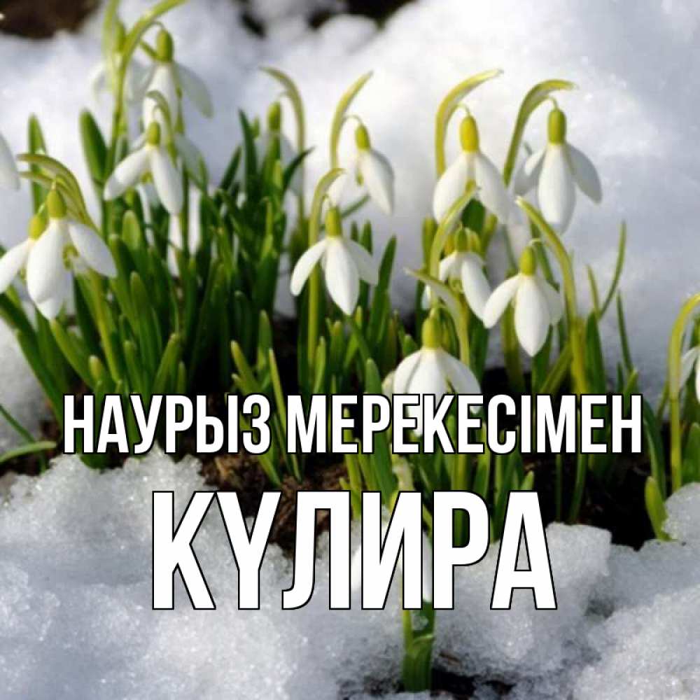 Күн сайын ашық хат с именем, КҮЛИРА Наурыз мерекесімен цветы весенние Онлайн тегін жүктеп алу тілектері бар керемет карта 