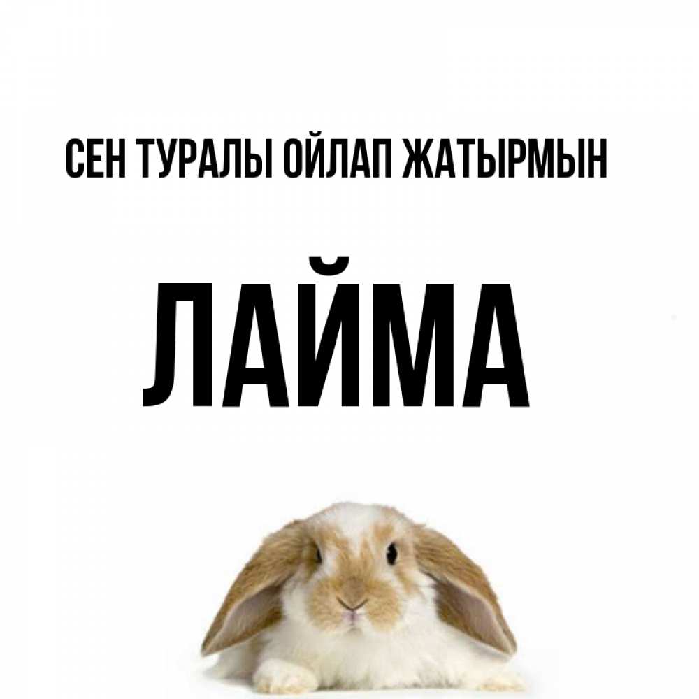 Күн сайын ашық хат с именем, Лайма Сен туралы ойлап жатырмын подписать своими руками онлайн Онлайн тегін жүктеп алу тілектері бар керемет карта 