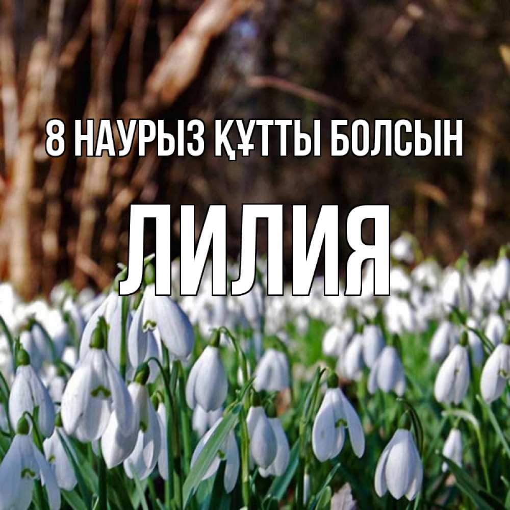 Күн сайын ашық хат с именем, Лилия 8 наурыз құтты болсын с подснежниками 1 Онлайн тегін жүктеп алу тілектері бар керемет карта 