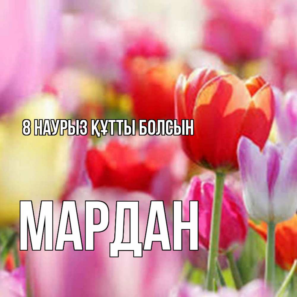 Күн сайын ашық хат с именем, МАРДАН 8 наурыз құтты болсын на международный женский день 2 Онлайн тегін жүктеп алу тілектері бар керемет карта 