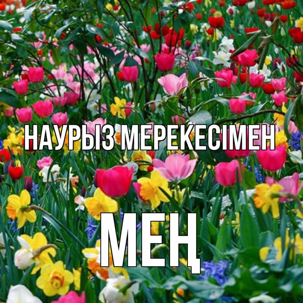 Күн сайын ашық хат с именем, МЕҢ Наурыз мерекесімен с наурызом праздником весны поздравления для женщины Онлайн тегін жүктеп алу тілектері бар керемет карта 