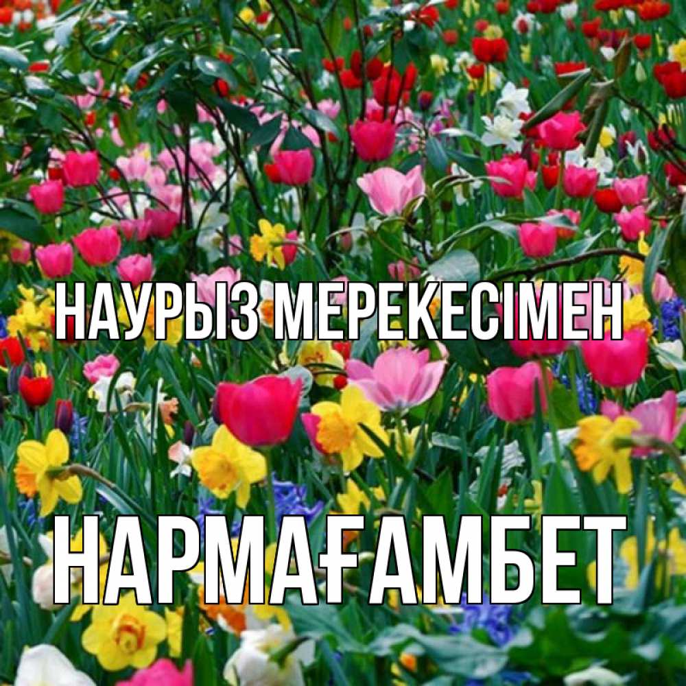 Күн сайын ашық хат с именем, НАРМАҒАМБЕТ Наурыз мерекесімен с наурызом праздником весны поздравления для женщины Онлайн тегін жүктеп алу тілектері бар керемет карта 