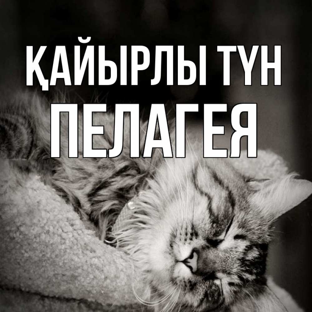 Күн сайын ашық хат с именем, Пелагея Қайырлы түн котярик пушистый Онлайн тегін жүктеп алу тілектері бар керемет карта 