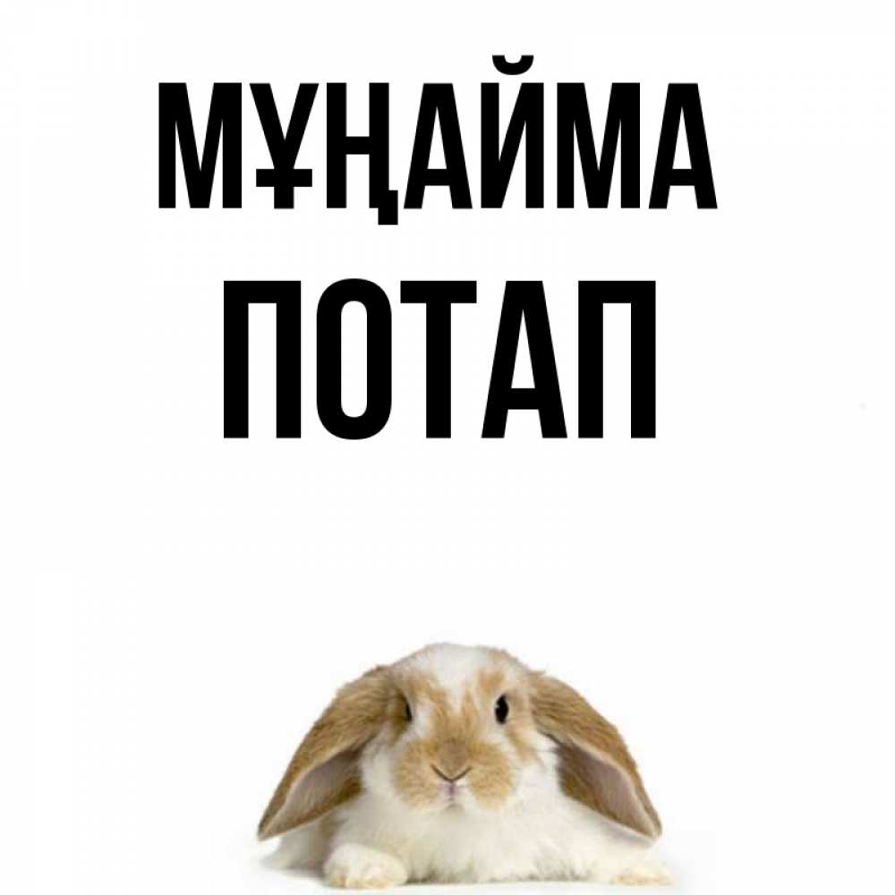 Күн сайын ашық хат с именем, Потап Мұңайма коричнево белый заяц с большими ушками Онлайн тегін жүктеп алу тілектері бар керемет карта 