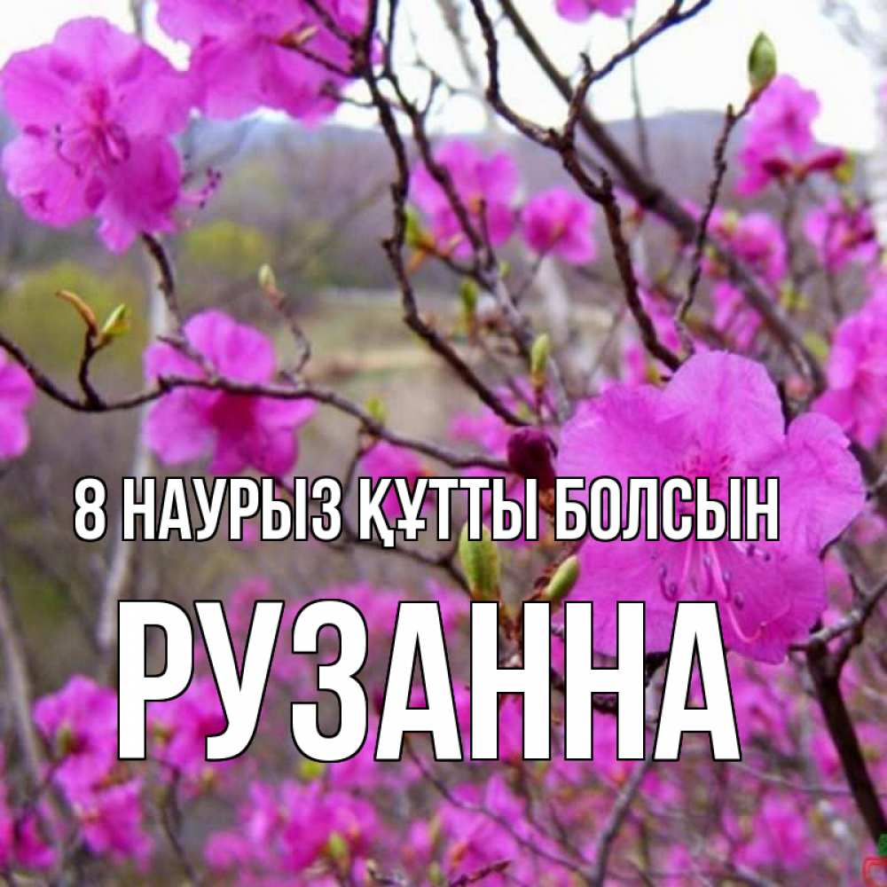 Күн сайын ашық хат с именем, Рузанна 8 наурыз құтты болсын международный женский день Онлайн тегін жүктеп алу тілектері бар керемет карта 