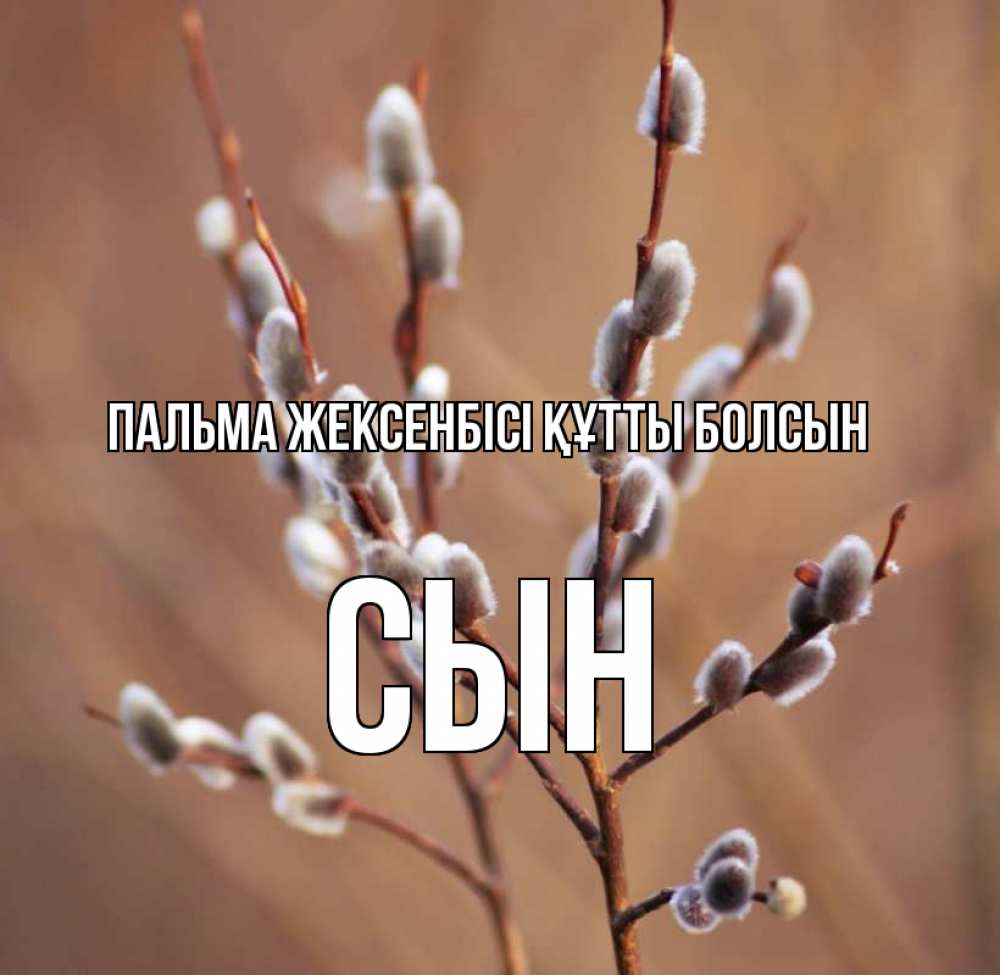 Күн сайын ашық хат с именем, Сын Пальма жексенбісі құтты болсын верба Онлайн тегін жүктеп алу тілектері бар керемет карта 