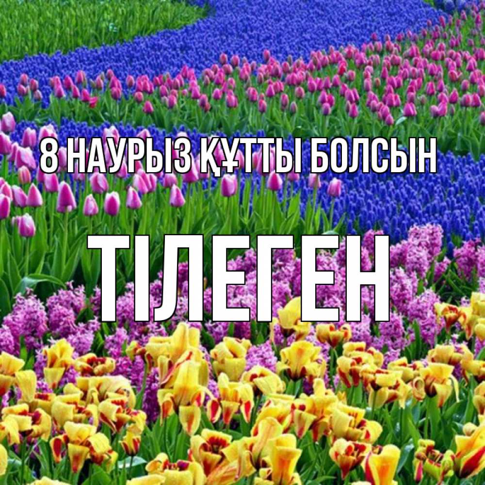 Күн сайын ашық хат с именем, ТІЛЕГЕН 8 наурыз құтты болсын цветы Онлайн тегін жүктеп алу тілектері бар керемет карта 