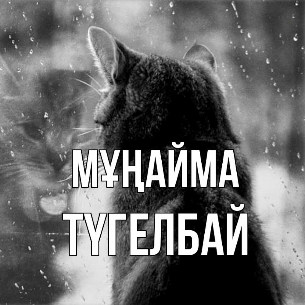 Күн сайын ашық хат с именем, ТҮГЕЛБАЙ Мұңайма отражение кота 1 Онлайн тегін жүктеп алу тілектері бар керемет карта 