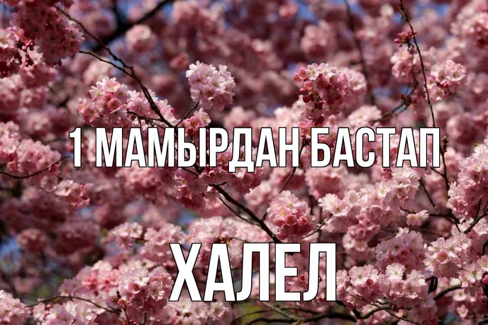 Күн сайын ашық хат с именем, ХАЛЕЛ 1 мамырдан бастап С 1 мая Онлайн тегін жүктеп алу тілектері бар керемет карта 