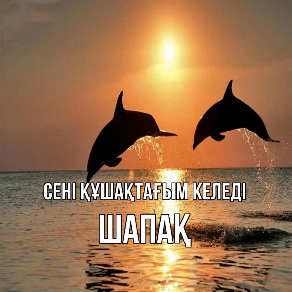 Күн сайын ашық хат с именем, ШАПАҚ сені құшақтағым келеді рыбы на закате Онлайн тегін жүктеп алу тілектері бар керемет карта 