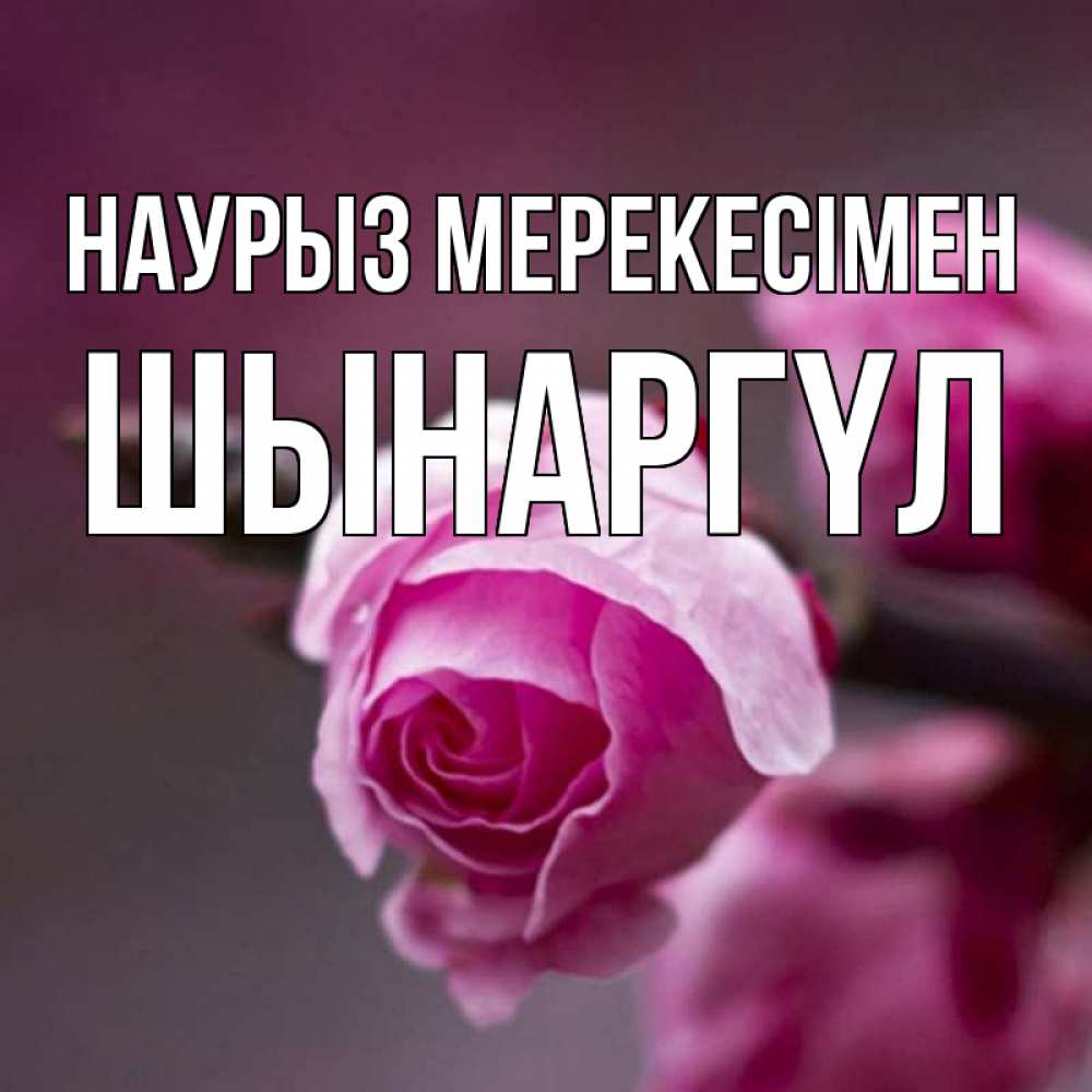 Күн сайын ашық хат с именем, ШЫНАРГҮЛ Наурыз мерекесімен весна Онлайн тегін жүктеп алу тілектері бар керемет карта 