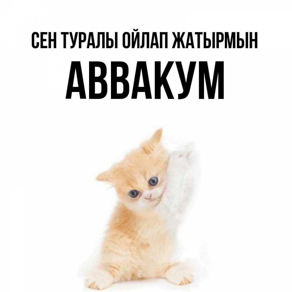 Күн сайын ашық хат с именем, Аввакум Сен туралы ойлап жатырмын зверушки и милота Онлайн тегін жүктеп алу тілектері бар керемет карта 