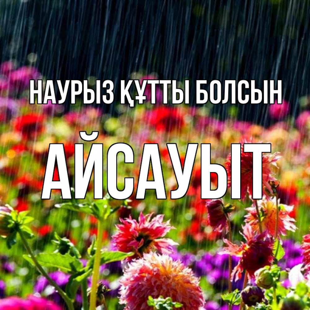 Күн сайын ашық хат с именем, Айсауыт Наурыз құтты болсын цветы под дождиком к наурызу Онлайн тегін жүктеп алу тілектері бар керемет карта 
