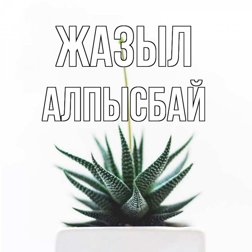 Күн сайын ашық хат с именем, Алпысбай Жазыл короче это непонятная колючка Онлайн тегін жүктеп алу тілектері бар керемет карта 